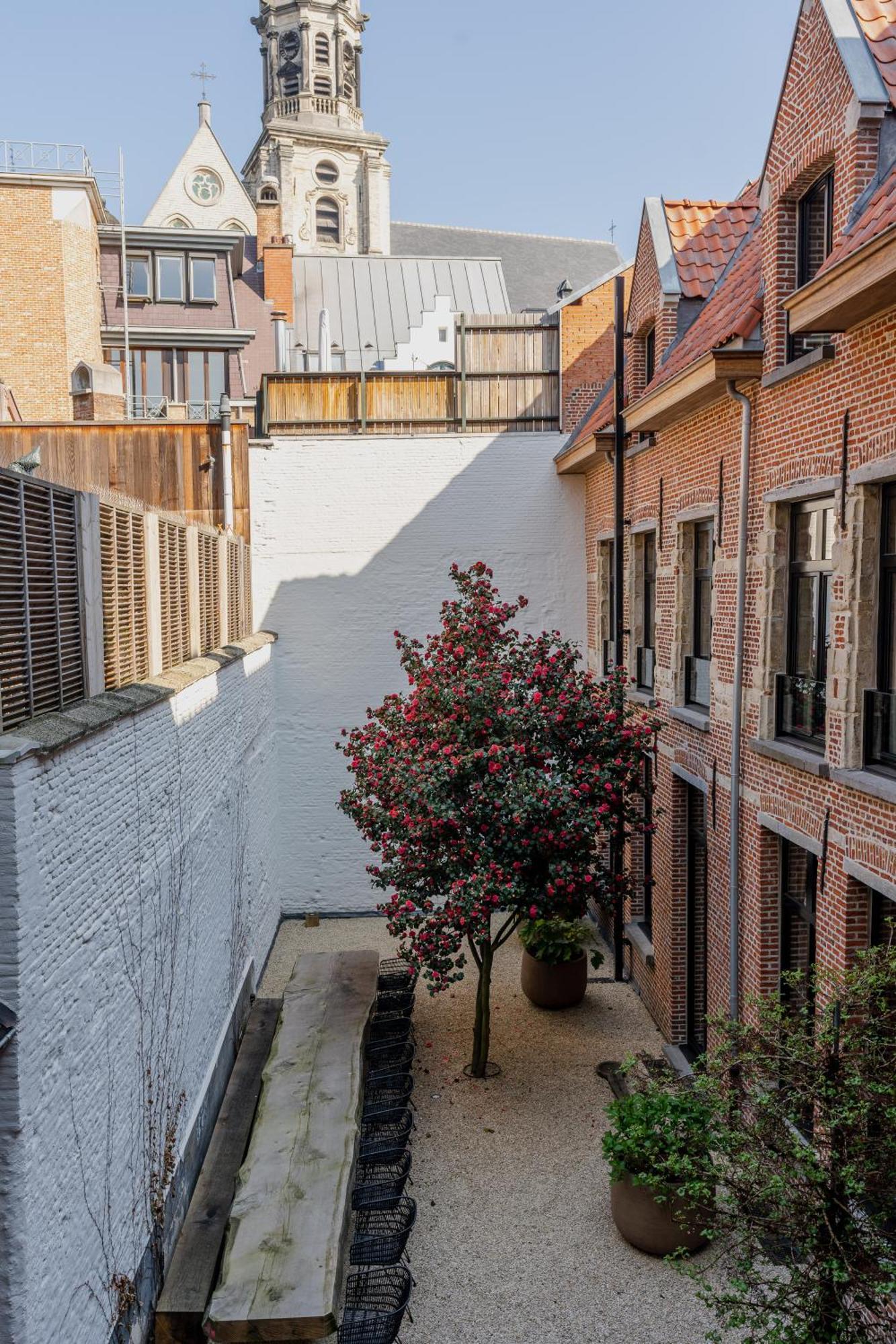 Apartament Btfl Living Antwerpia Zewnętrze zdjęcie